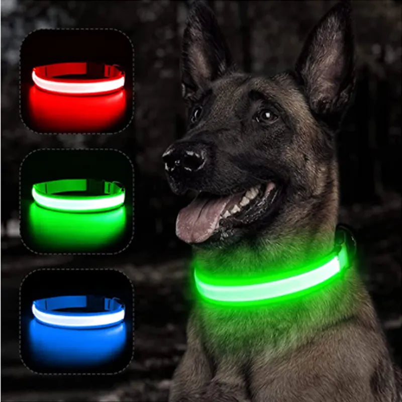 Coleira Pet brilhante com led de cachorro, ajustável, recarregável, luminosa, noturna, anti-perda, produtos para animais de estimação