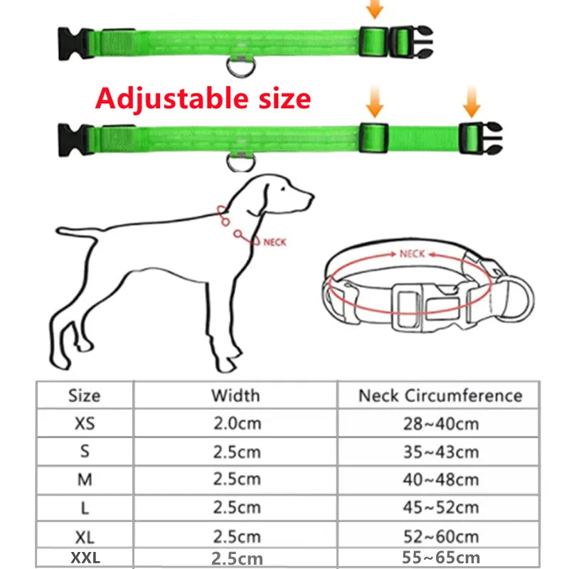 Coleira Pet brilhante com led de cachorro, ajustável, recarregável, luminosa, noturna, anti-perda, produtos para animais de estimação