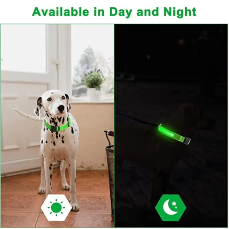 Coleira Pet brilhante com led de cachorro, ajustável, recarregável, luminosa, noturna, anti-perda, produtos para animais de estimação